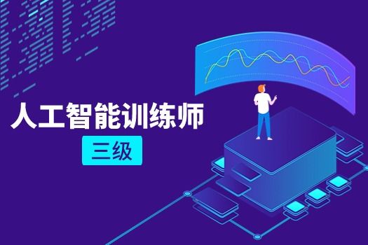 人工智能训练师（三级）