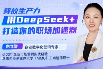 deepseek+